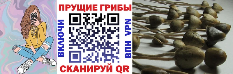 Псилоцибиновые грибы мицелий  Сатка 